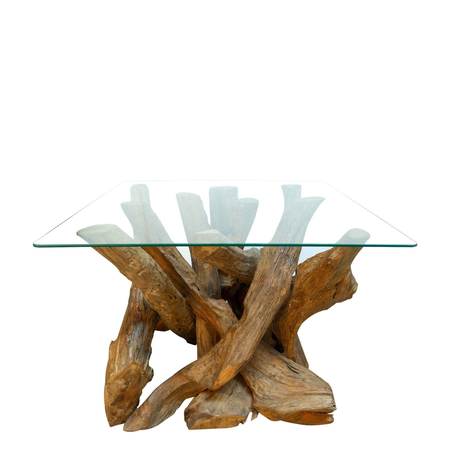 Twiggy - Square Coffee Table In Tempered Glass & Natural Teak Tree Root
