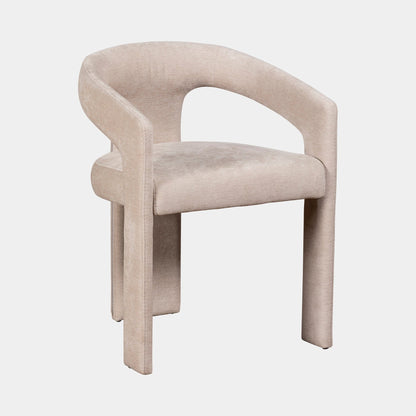 Austin - Dining Chair In Fabric